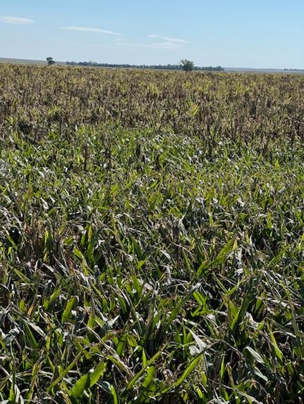 Property for sale in Bennett County, South Dakota