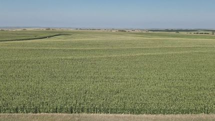 Property for sale in Jewell County, Kansas