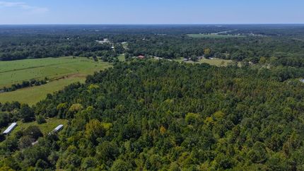 Recreational Property for sale in Geneva County, Alabama