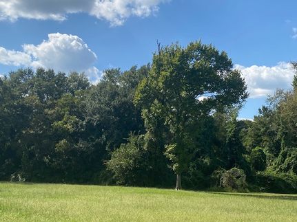 Residential Property for sale in Henderson County, Texas