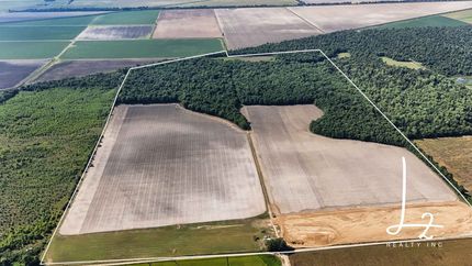 Undeveloped Land for sale in Ripley County, Missouri