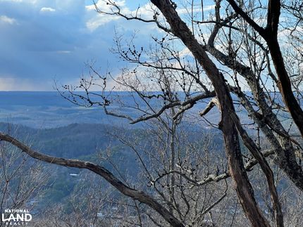 Farm Property for sale in DeKalb County, Alabama