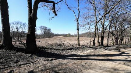 Property for sale in Cass County, Michigan