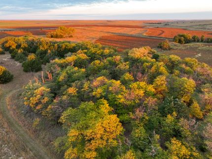 Timberland Property for sale in Rooks County, Kansas