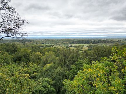 Property for sale in Berkeley County, West Virginia