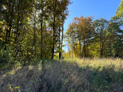 Hunting Land for sale in Oswego County, New York