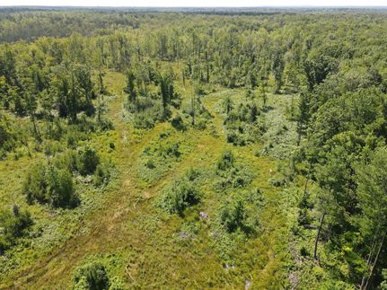 Hunting Land for sale in Newaygo County, Michigan