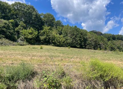 Recreational Property for sale in Giles County, Tennessee