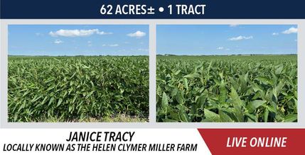 Property in Woodford County, Illinois