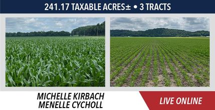 Property in Greene County, Illinois