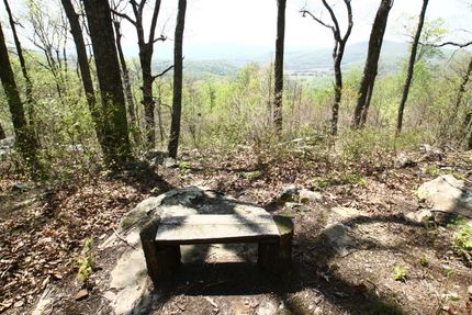 Timberland Property for sale in Warren County, Tennessee