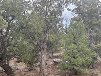 Property for sale in Duchesne County, Utah