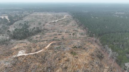 Property for sale in Wayne County, Mississippi