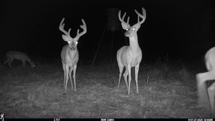 Property for sale in Coleman County, Texas