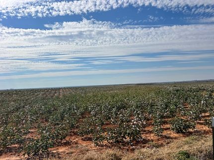 Property for sale in Mitchell County, Texas