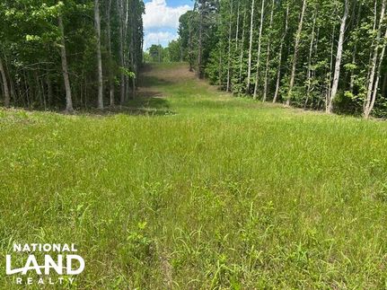 Property in Wayne County, Tennessee