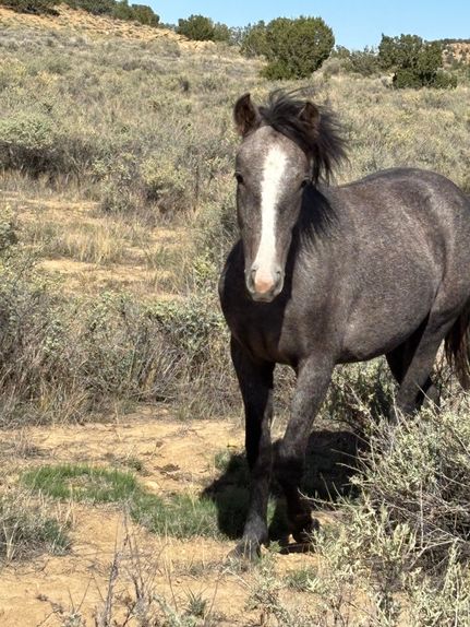 Property for sale in McKinley County, New Mexico