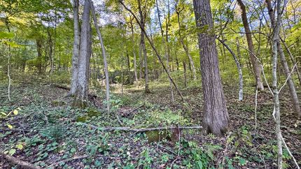 Undeveloped Land for sale in Martin County, Indiana