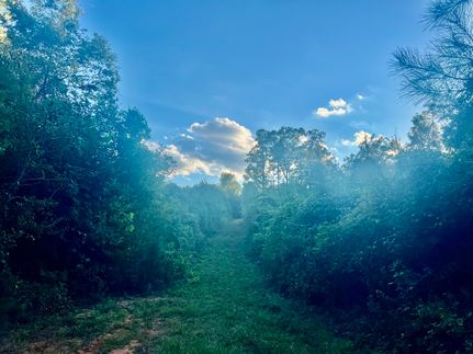 Property for sale in Covington County, Mississippi