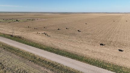 Ranch Property for sale in Oldham County, Texas