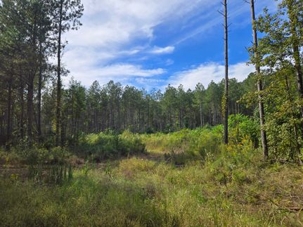 Property for sale in Cherokee County, Alabama