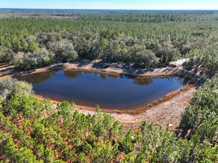 Hunting Land for sale in Camden County, Georgia