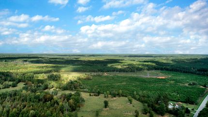 Undeveloped Land for sale in Greenwood County, South Carolina