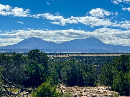 Undeveloped Land for sale in Huerfano County, Colorado
