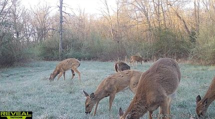 Property for sale in Randolph County, Missouri