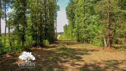 Hunting Land for sale in Wilkes County, Georgia