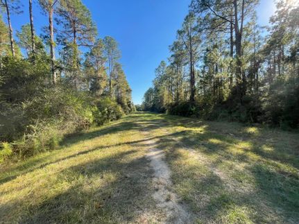 Property for sale in Holmes County, Florida