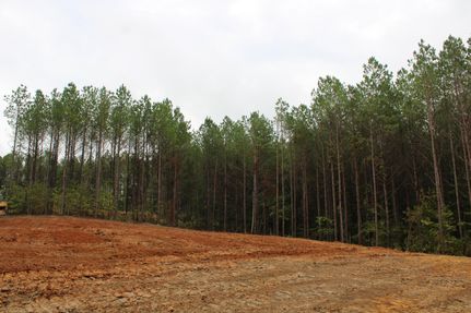 Property for sale in Lafayette County, Mississippi