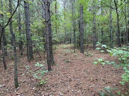Property for sale in Monroe County, Tennessee