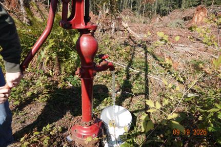 Property for sale in Pierce County, Washington