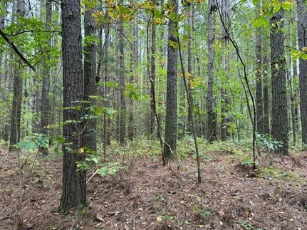 Undeveloped Land for sale in Monroe County, Tennessee