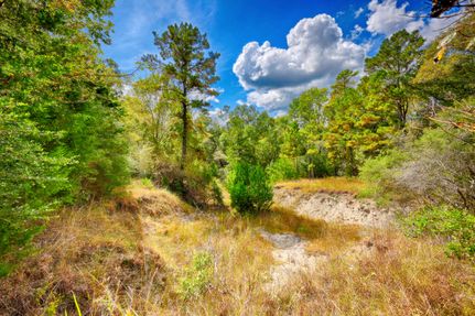 Property for sale in Walker County, Texas