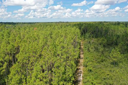 Property for sale in Taylor County, Florida