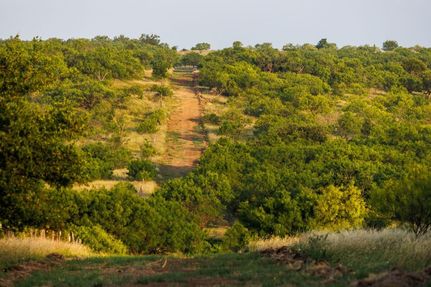 Property for sale in Callahan County, Texas