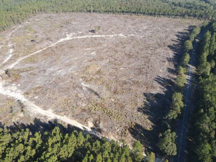 Undeveloped Land for sale in Escambia County, Alabama