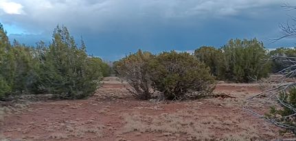 Undeveloped Land for sale in Apache County, Arizona