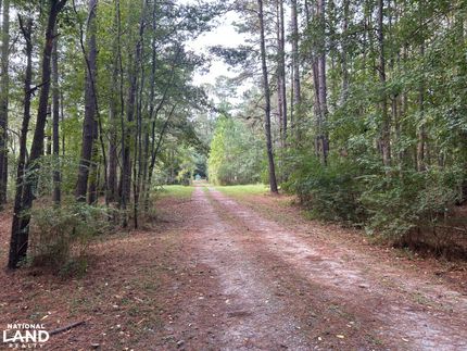 Lakefront Property for sale in Berkeley County, South Carolina