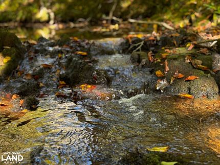 Riverfront Property for sale in Lunenburg County, Virginia