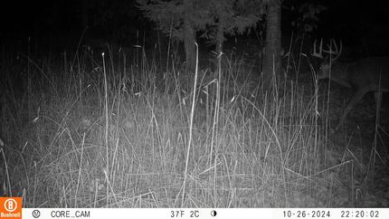 Property in Langlade County, Wisconsin