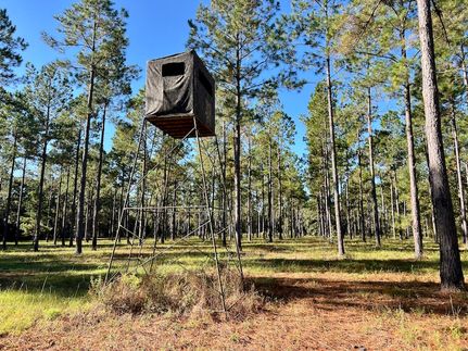 Property for sale in Pulaski County, Georgia