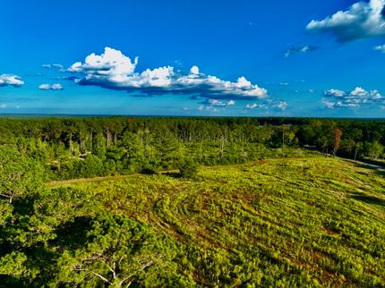 Undeveloped Land for sale in Covington County, Mississippi