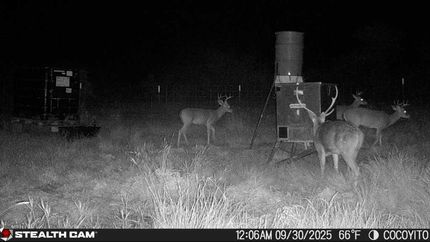 Ranch Property for sale in Edwards County, Texas