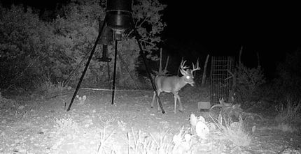 Property for sale in Edwards County, Texas