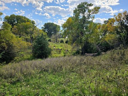 Hunting Land for sale in Norton County, Kansas