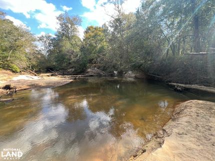 Property for sale in Dale County, Alabama