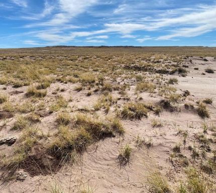 Hunting Land for sale in Navajo County, Arizona